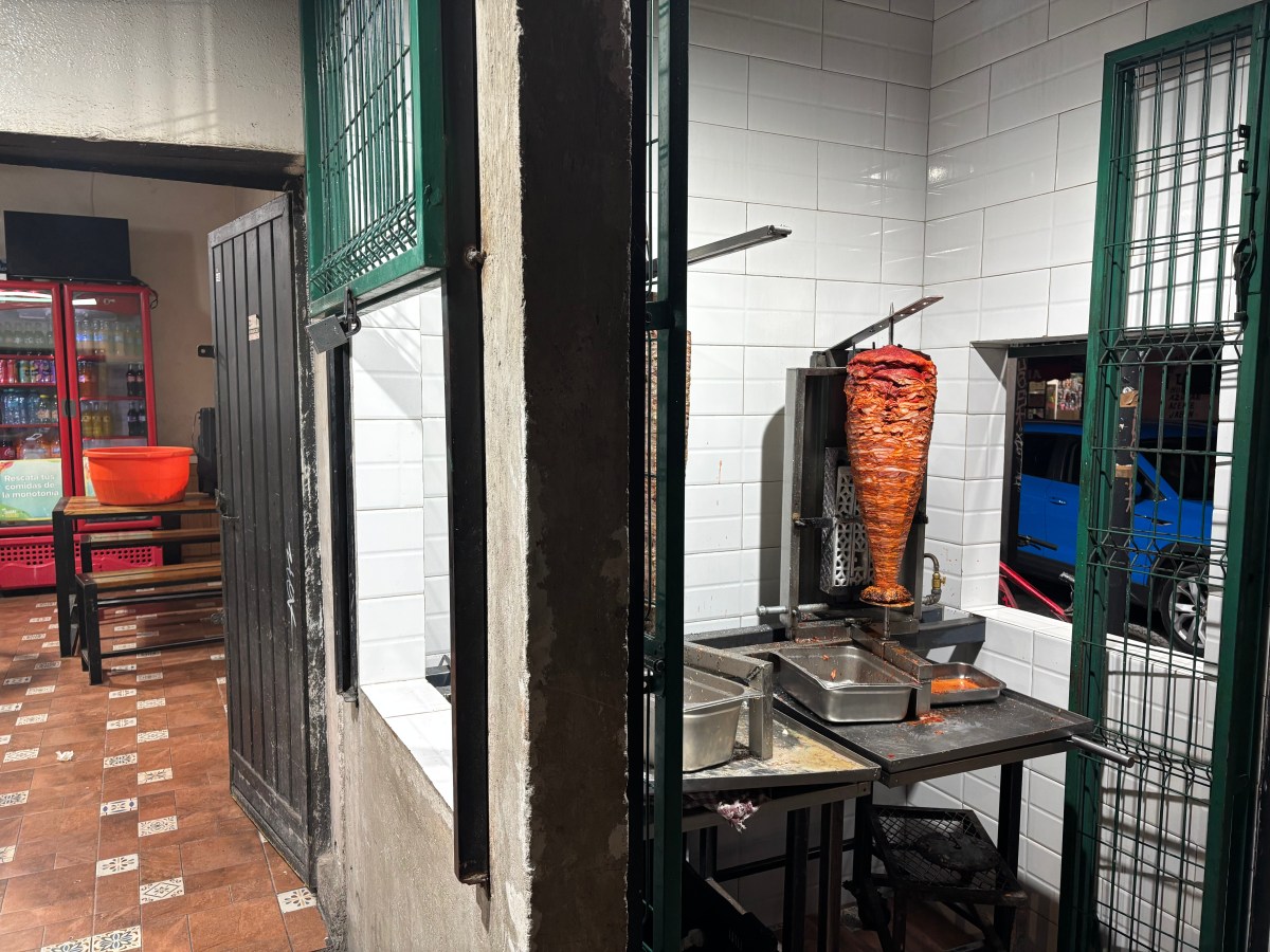 Juquila: Tacos, Adobo y Perros&nbsp;Callejeros